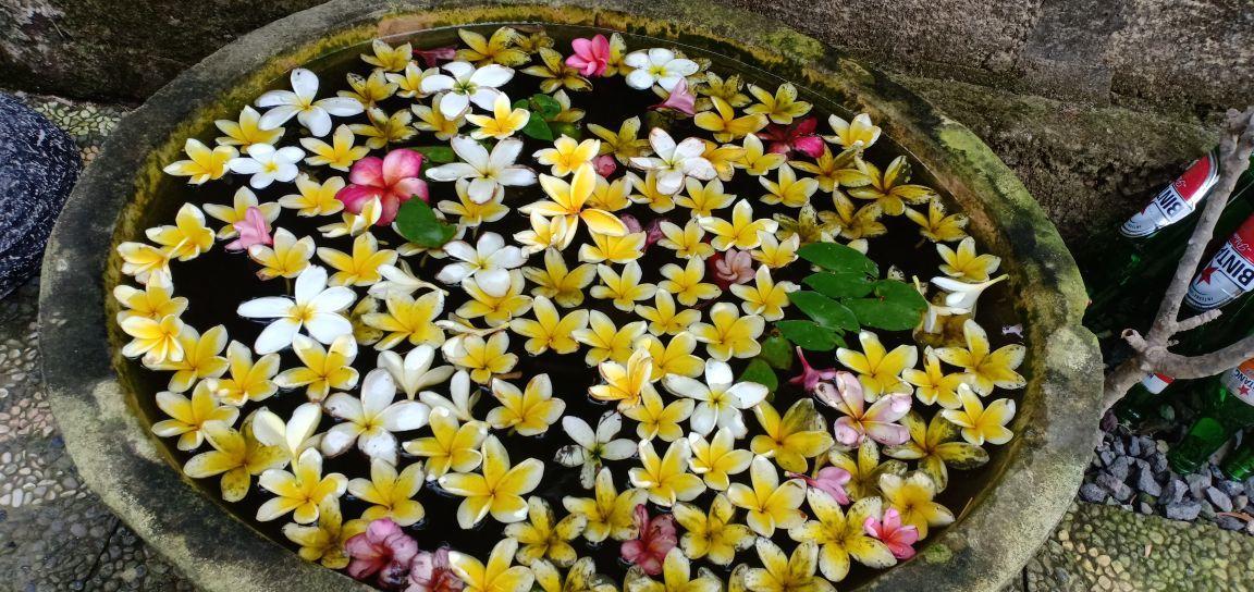 Kuwera Homestay Batununggul المظهر الخارجي الصورة
