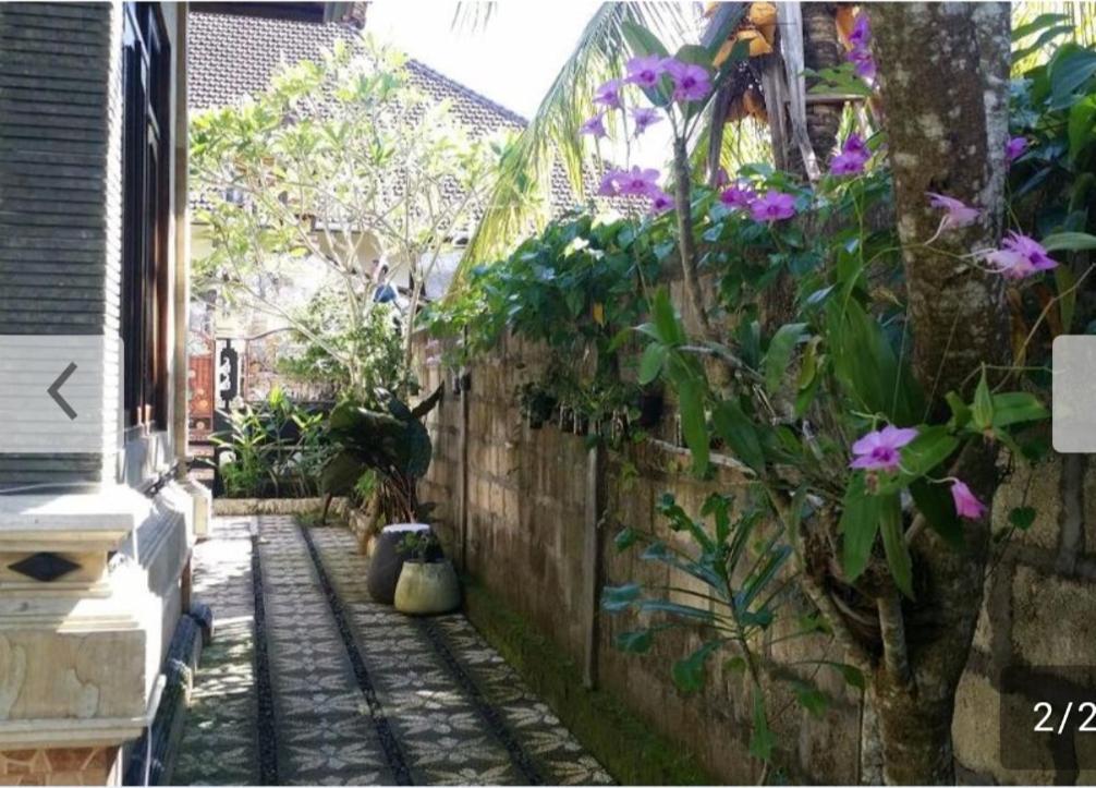 Kuwera Homestay Batununggul المظهر الخارجي الصورة